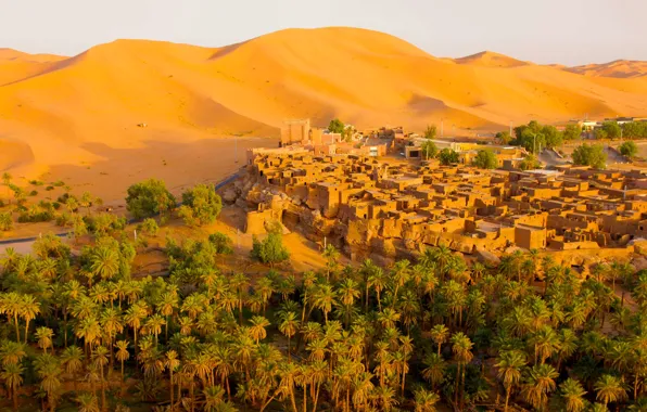 Картинка песок, барханы, город, пальмы, пустыня, дома, Алжир, Оазис