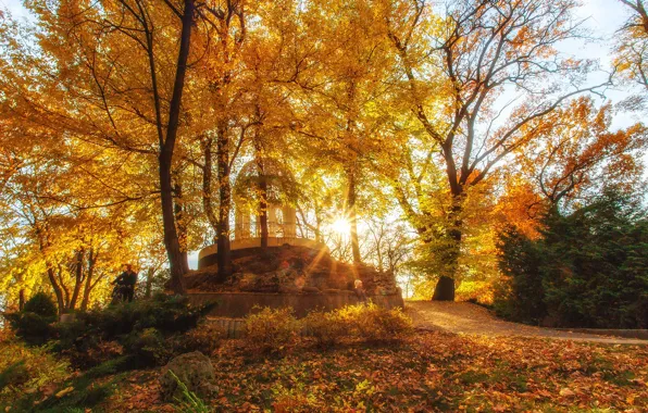 Картинка осень, солнце, лучи, пейзаж, природа, парк, Краснодар, Павел Сагайдак