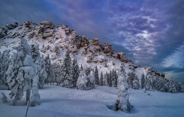 Картинка зима, снег, деревья, скала, ели, Россия