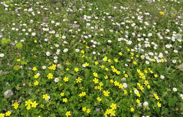 Spring, Pieria, Palaia Vria