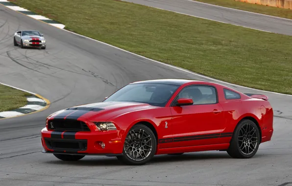 Mustang, Ford, Shelby, GT500, мустанг, форд, шелби, SVT