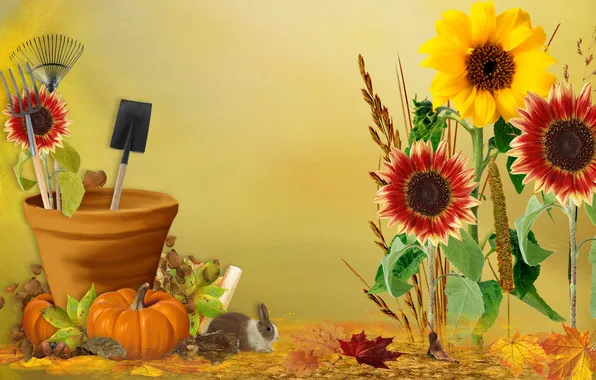 Картинка осень, листья, цветы, коллаж, сад, кролик, урожай, лопата