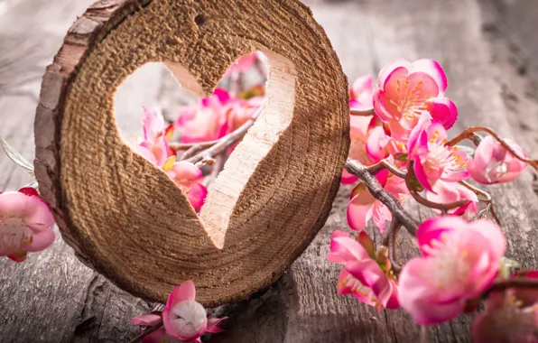 Heart, wood, flowers, still life, table