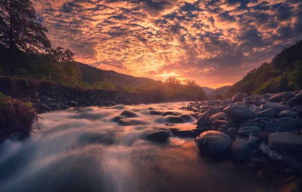 Картинка лес, вода, солнце, река