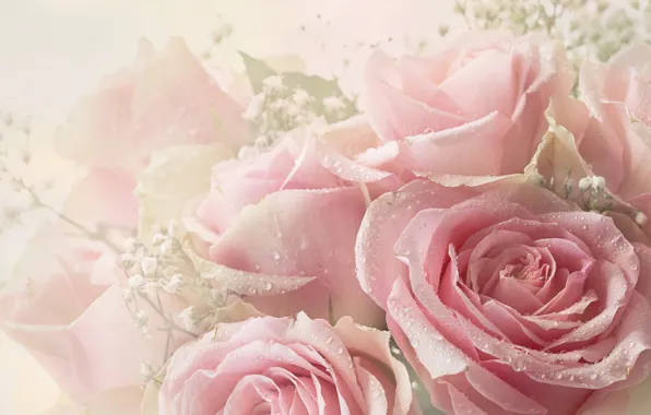 Картинка капли, розы, букет