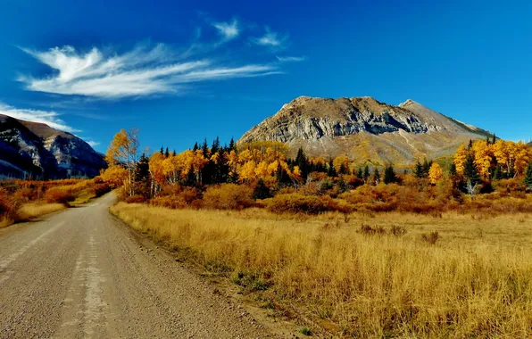 Картинка дорога, осень, трава, облака, деревья, горы, Канада, Альберта