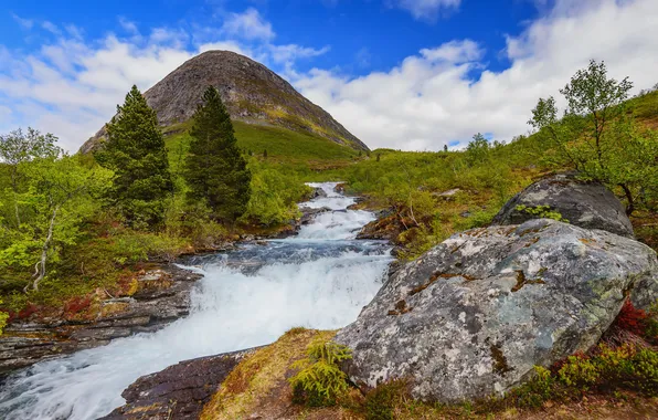 Картинка небо, трава, деревья, река, камни, гора, поток, Норвегия
