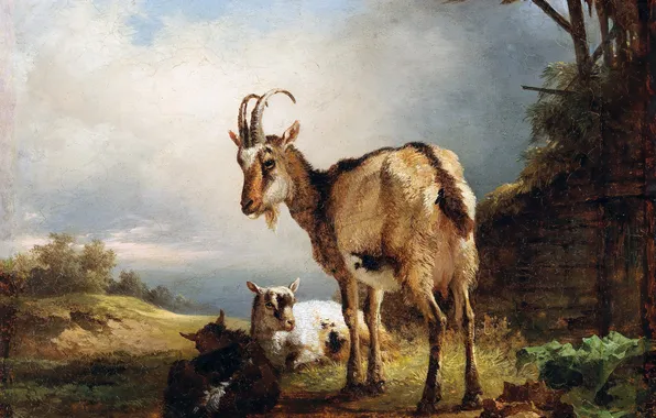 Картина, Коза, Австрийский художник, Friedrich August Matthias Gauermann, Фридрих Август Маттиас Гауэрман, Friedrich Gauermann, Фридрих …