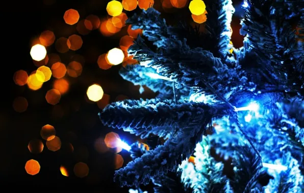 Огни, фото, настроение, праздник, волшебство, обои, новый год, ёлка