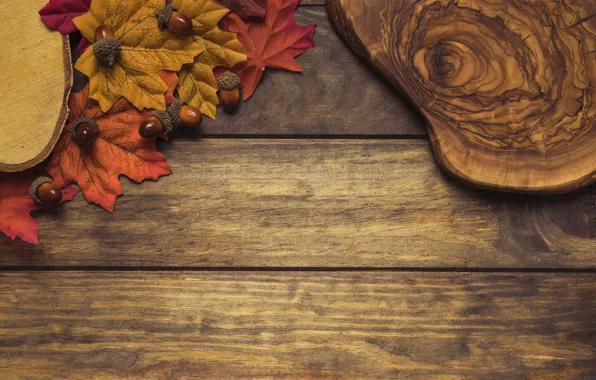 Картинка осень, листья, фон, дерево, colorful, доска, wood, желуди