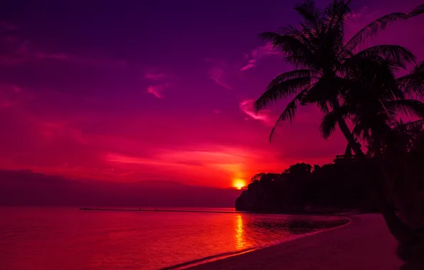 Картинка песок, море, пляж, небо, солнце, закат, пальмы, берег