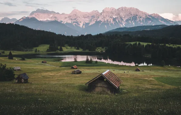 Лес, лето, цветы, горы, туман, озеро, отражение, скалы