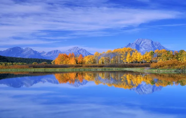 Картинка осень, лес, небо, листья, облака, деревья, горы, озеро