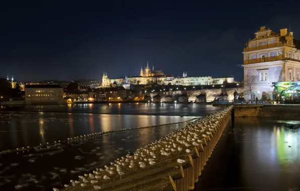Ночь, река, дома, Прага, Чехия, архитектура, night, Prague