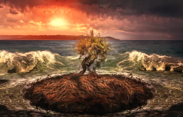 Картинка море, волны, дерево, обработка, островок, lonely island