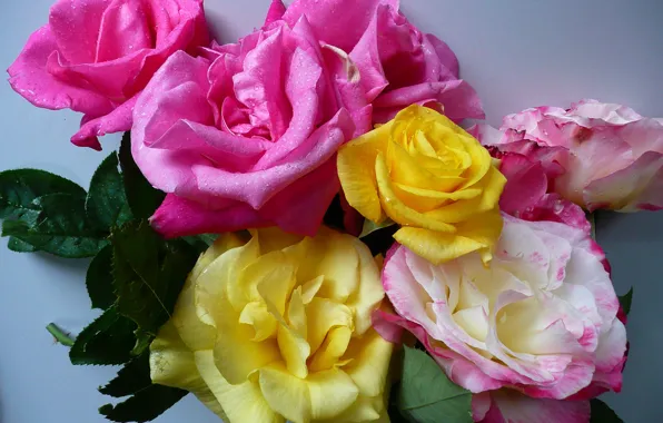 Картинка вода, капли, макро, розы, букет, лепестки