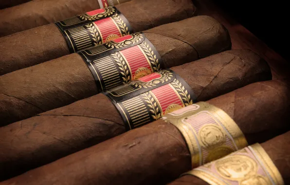 Red, gold, black, Brown, tobacco, Habanos