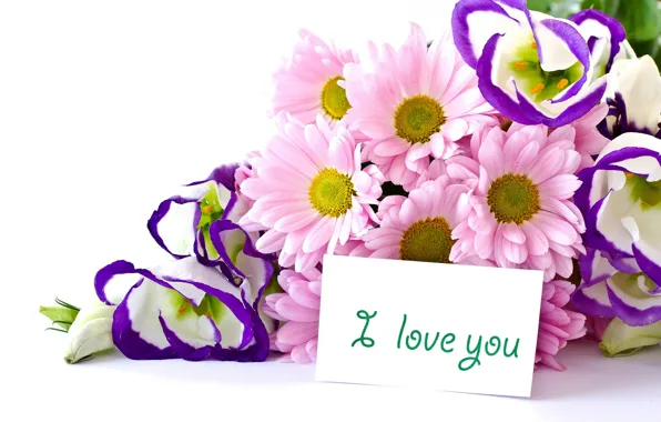 Букет, I love you, хризантемы, flowers, эустома