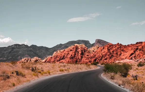 Дорога, США, Невада, Red Rock Canyon