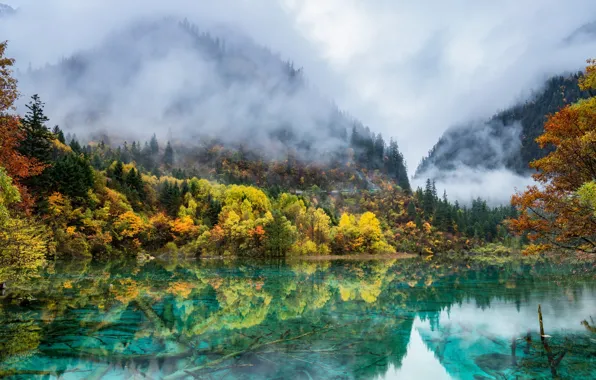 Картинка осень, горы, природа, туман, озеро, краски, Китай, леса