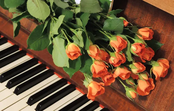 Розы, пианино, бутоны