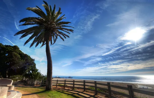 Море, лето, пальма, побережье, набережная, sea, seaside, palm