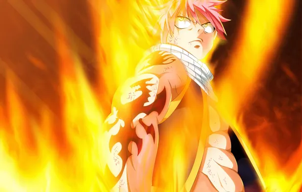 Аниме, арт, Fairy Tail, Нацу Драгнил, Хвост феи