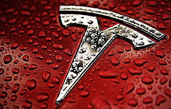 Картинка silver, red, logo, Tesla Motors