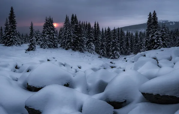 Картинка зима, снег, деревья