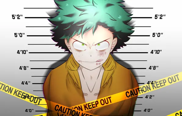 Взгляд, парень, My Hero Academia, Boku No Hero Academia, Моя Геройская Академия, Изуку Мидория