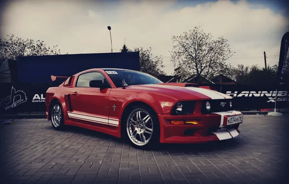 Mustang, Евразия, АМТ, 161