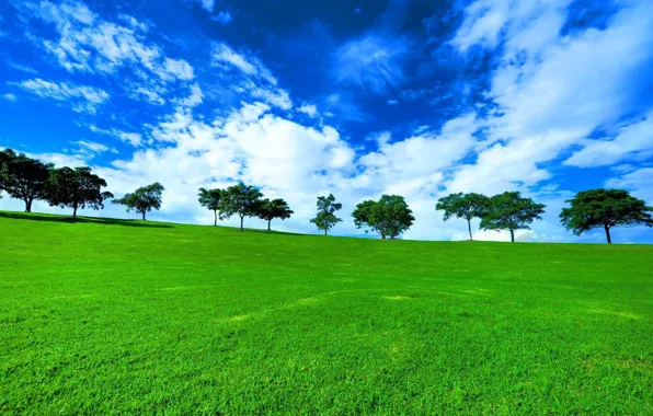 Картинка зелень, поле, трава, деревья, пейзаж, природа, вид