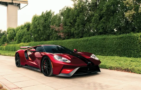 Картинка Ford, Ford GT, 2017, GT