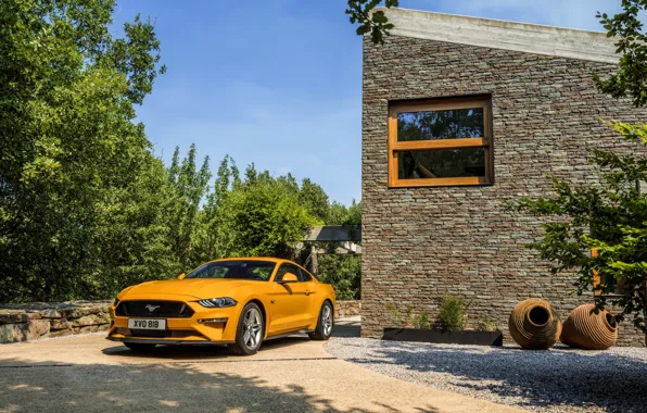Оранжевый, стена, Ford, 2018, фастбэк, Mustang GT 5.0