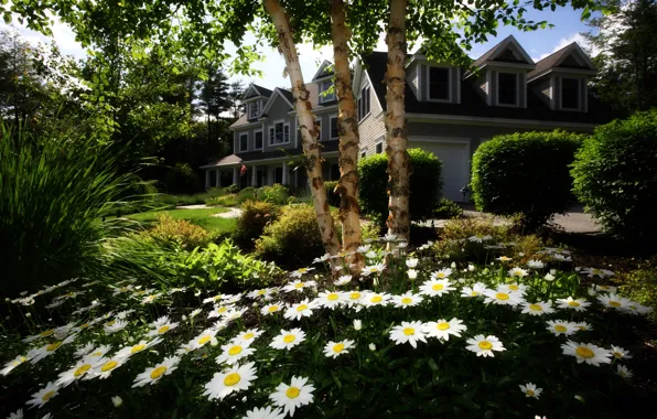 Цветы, дом, газон, сад, коттедж, home and garden