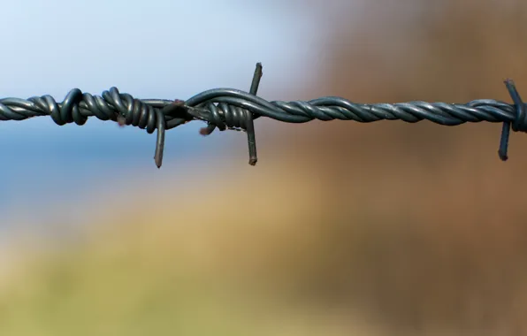 Фон, забор, проволока, колючая проволка
