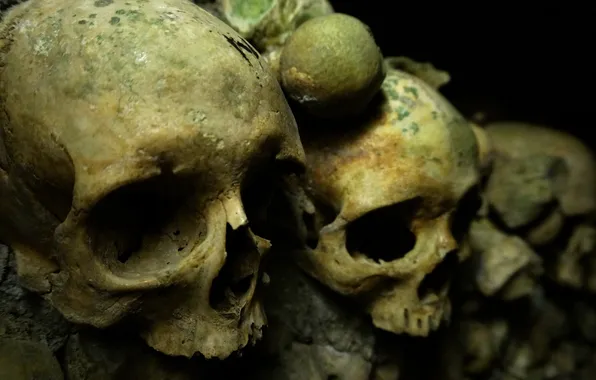 Skull, wall, bones, catacombs