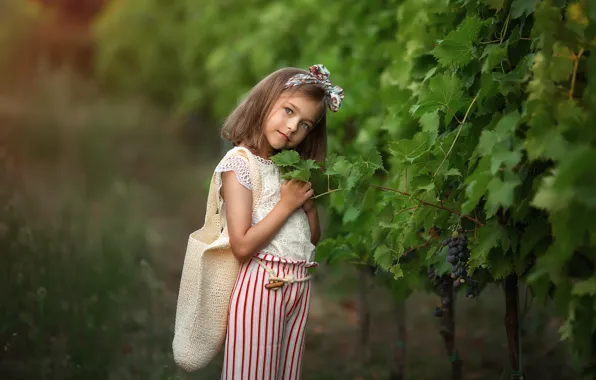 Картинка портрет, виноград, девочка