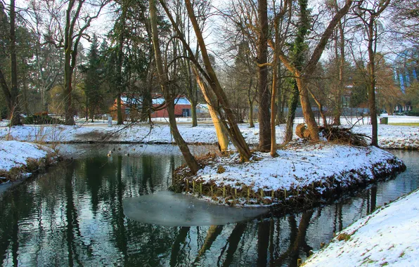 Water, park, lake, pond