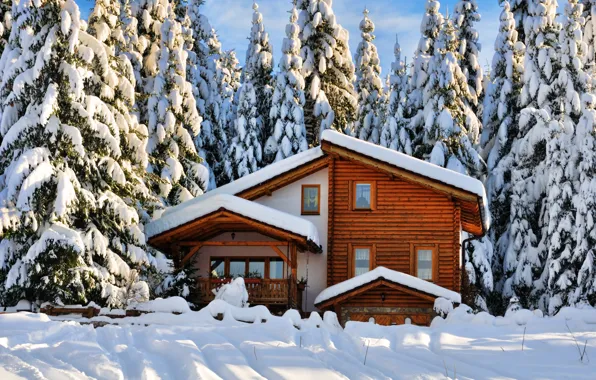 Картинка зима, лес, снег, деревья, пейзаж, природа, дом, зимний