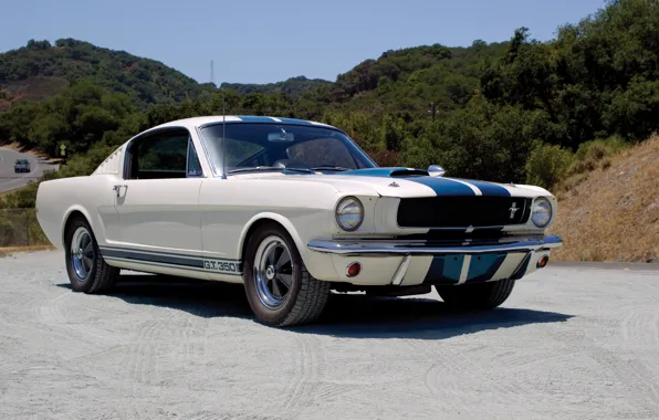 Картинка Mustang, Ford, Shelby, Prototype, мустанг, форд, шелби, 1965