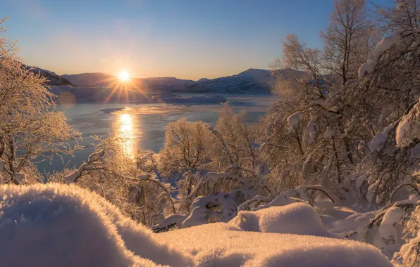 Картинка зима, солнце, лучи, снег, деревья, пейзаж, закат, природа