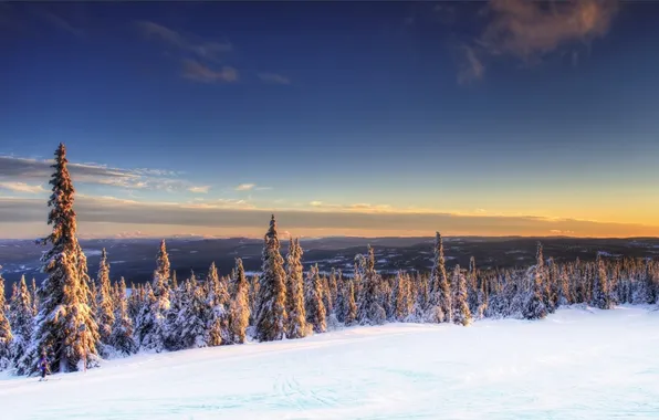 Зима, снег, ели, Норвегия, Norway