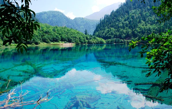 Лес, горы, природа, озеро