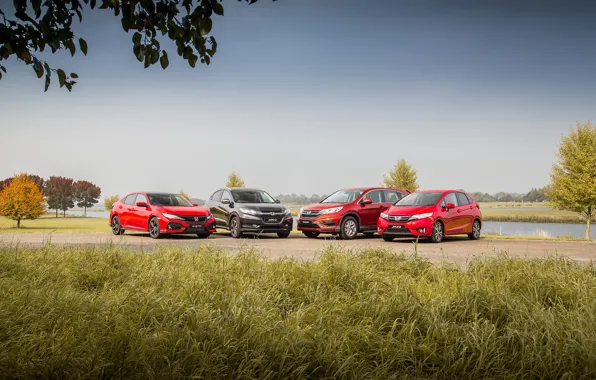 Авто, деревья, природа, Honda, Fit, CR-V, HR-V, Civic Hatchback