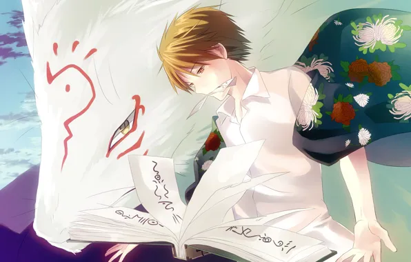 Кот, аниме, арт, парень, Natsume Yuujinchou, Тетрадь дружбы Натсуме, Няко сенсей