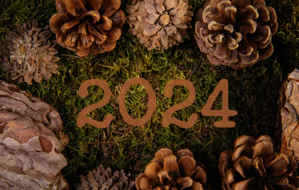 Мох, цифры, Новый год, кора, шишки, дата, 2024, Новый 2024 год