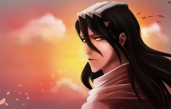 Картинка небо, взгляд, птицы, Аниме, сериал, Bleach, Блич, Byakuya Kuchiki