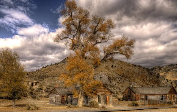 Дерево, дома, Bannack Montana