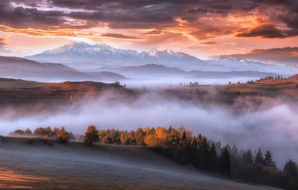 Картинка осень, горы, туман, утро, Карпаты